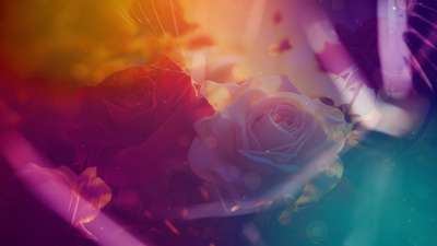 Floral Motion Loop 01