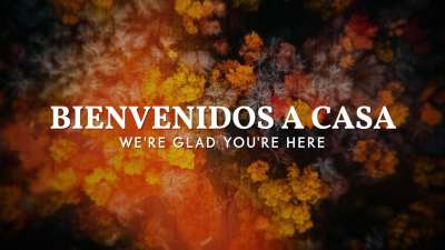 Aerial Journey Welcome Back Spanish