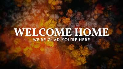 Aerial Journey Welcome Back