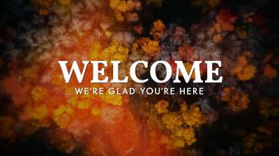 Aerial Journey Welcome