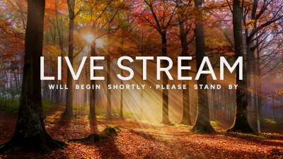 Autumn Light Live Stream