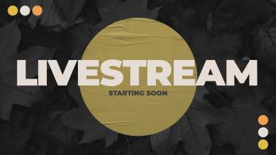 Autumn Tones Livestream