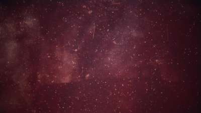 Christmas Elegance 13