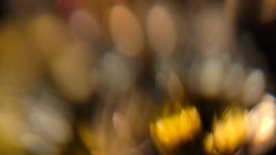 Christmas Ornamental 11