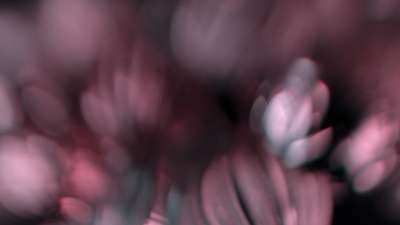 Christmas Ornamental 15