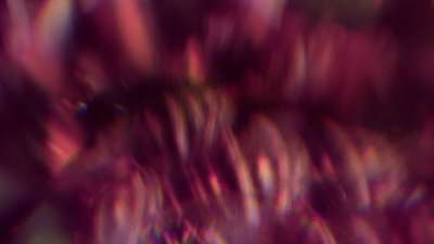 Christmas Ornamental 17