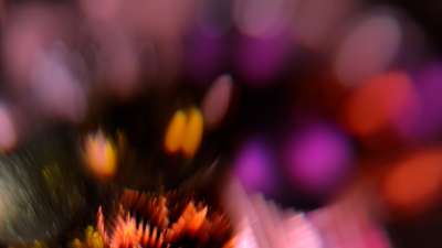 Christmas Ornamental 19