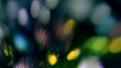 Christmas Ornamental 20