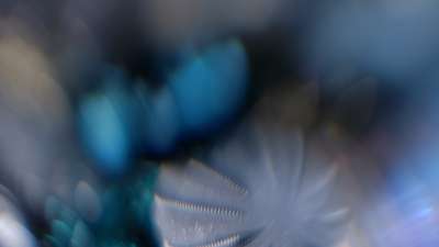 Christmas Ornamental 3