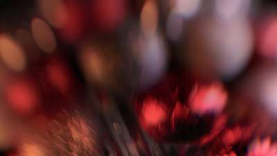 Christmas Ornamental 4