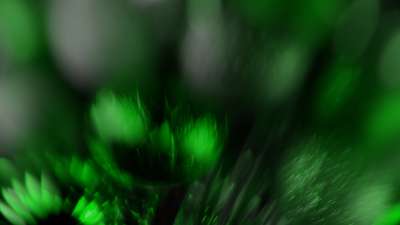 Christmas Ornamental 6