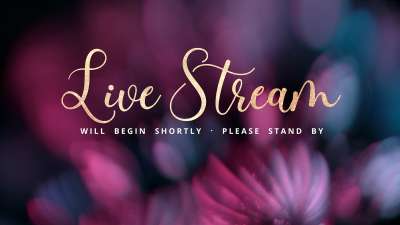 Christmas Ornamental Live Stream