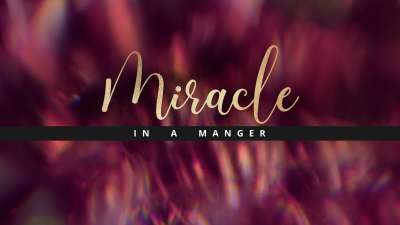 Christmas Ornamental Miracle