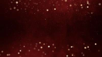 Christmas Shimmer 12