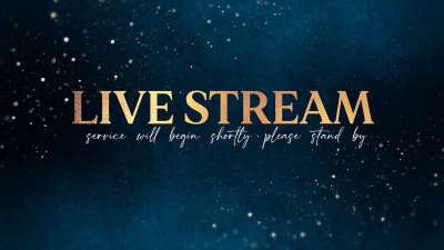 Christmas Shimmer Live Stream