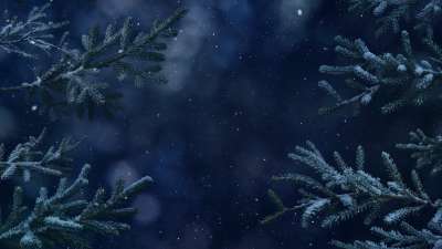Christmas Wintertide 1