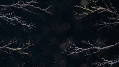 Christmas Wintertide 14