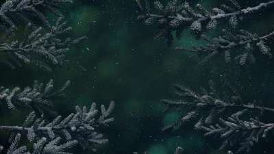 Christmas Wintertide 5