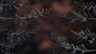 Christmas Wintertide 6