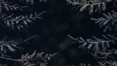 Christmas Wintertide 7