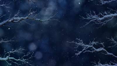 Christmas Wintertide 8