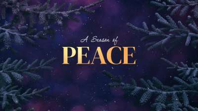Christmas Wintertide Peace