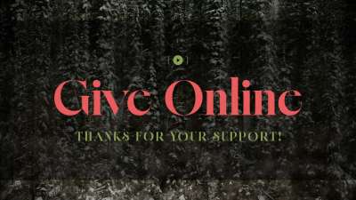 Evergreen Give Stream