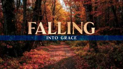 Forest Fall Falling Into Grace