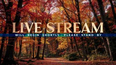 Forest Fall Live Stream