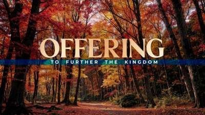 Forest Fall Offering
