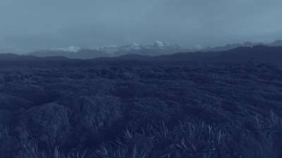 Gillespies Beach 11 Alt