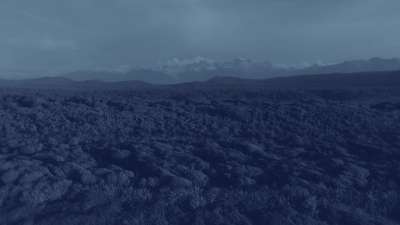 Gillespies Beach 6 Alt