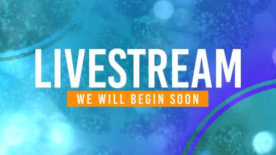 Gradient Shapes Livestream