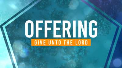 Gradient Shapes Offering