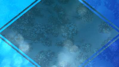 Gradient Shapes Motion 01