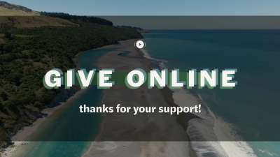 Kiakoura Give Stream