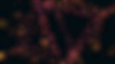 Light Fragments 10 Alt