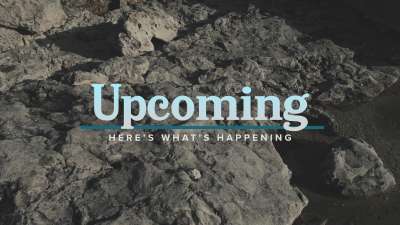 Northern Shores Upcoming