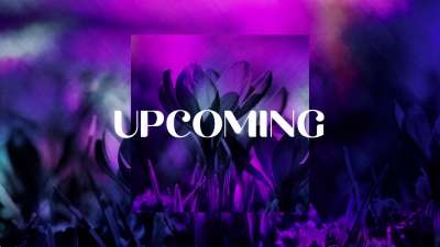 Painted Flowers Upcoming