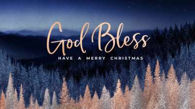 Sparkling Trees Christmas Close