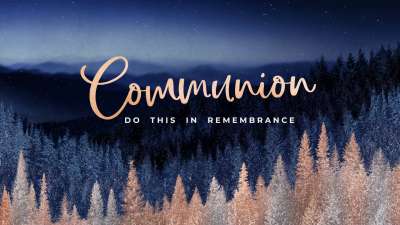 Sparkling Trees Communion