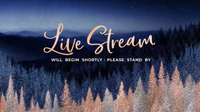 Sparkling Trees Live Stream