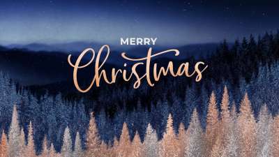 Sparkling Trees Merry Christmas