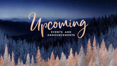 Sparkling Trees Upcoming