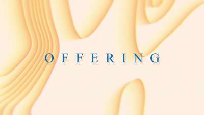 Summer Contours Offering