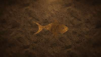 The Gospel According to Peter: Color Fish Loop