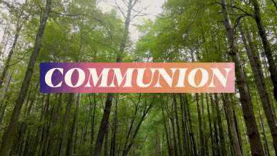 The Forest Communion