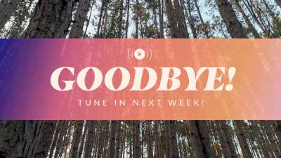 The Forest Exit Stream