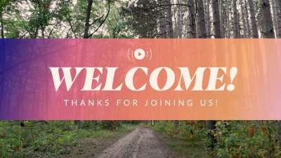 The Forest Welcome Stream