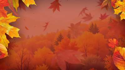 Warm Autumn Colors Am 01